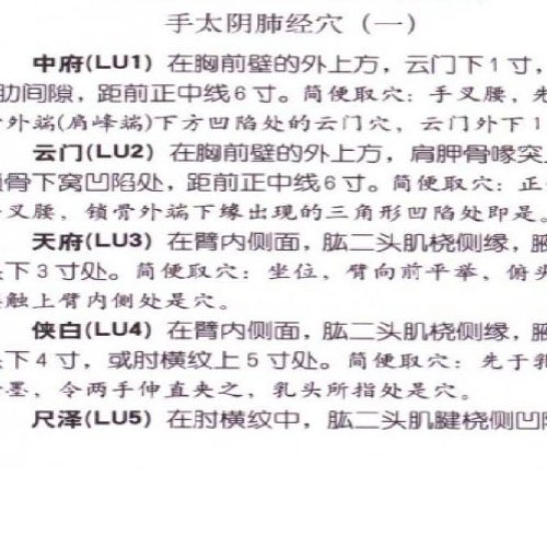 圖解針灸快速取穴口袋書..jpg