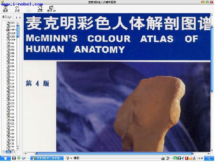 麥克明彩色人體解剖圖譜.jpg