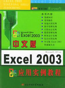 中文版Excel 2003實例與技巧