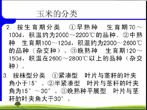 IPB Image