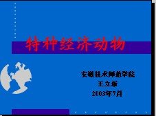 IPB Image