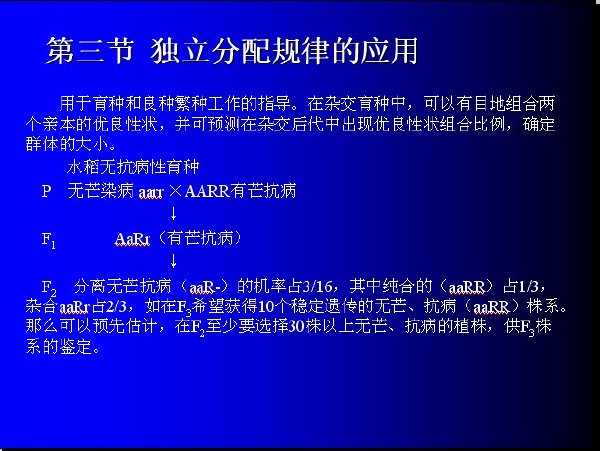 IPB Image