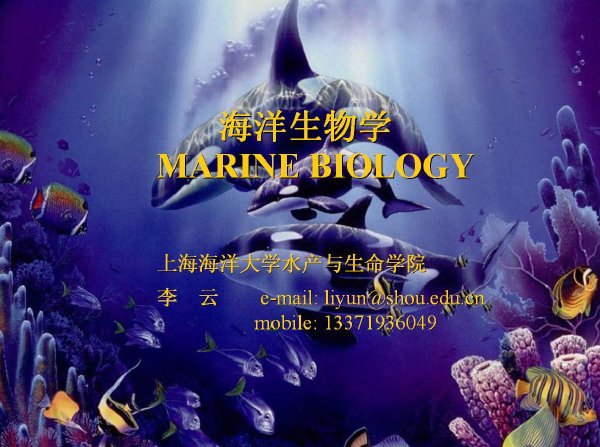 IPB Image