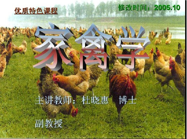 IPB Image