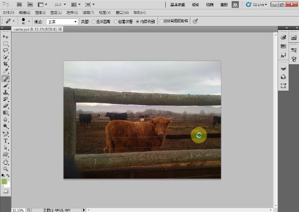 Photoshop CS5入門到高級視頻教程.jpg