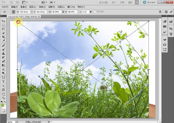 Photoshop CS5入門到高級視頻教程.jpg