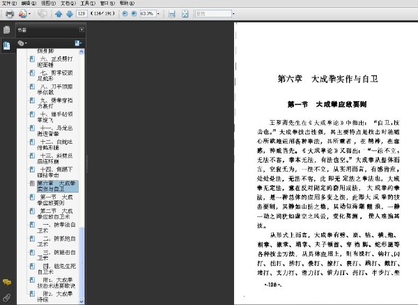 大成拳精典探秘.jpg