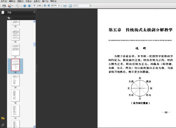 傳統楊式太極劍.jpg