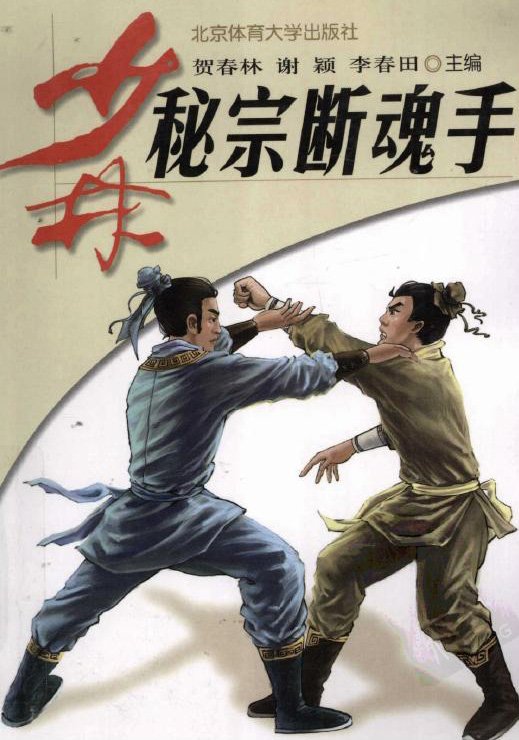 少林秘宗斷魂手.jpg