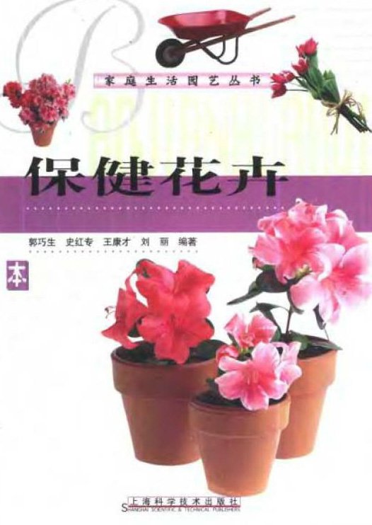 保健花卉.jpg