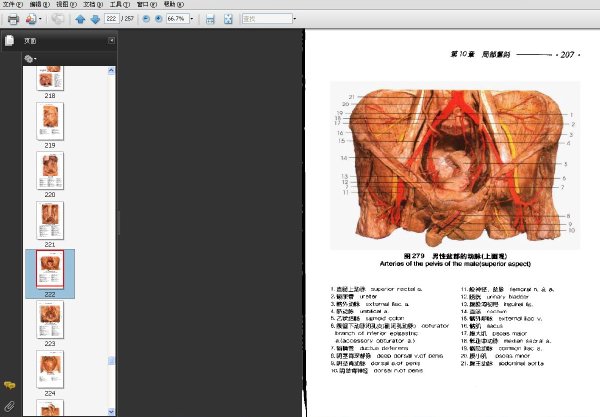 簡明人體解剖彩色圖譜.jpg