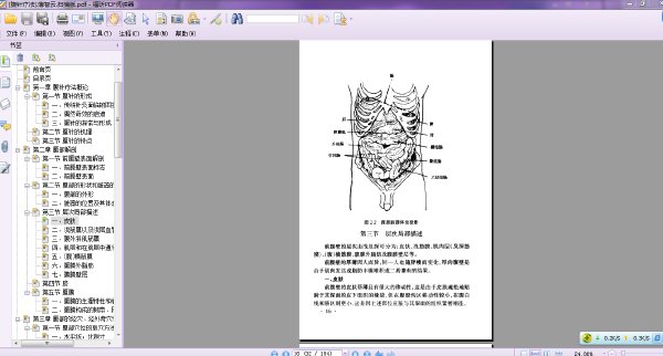 腹針療法.jpg