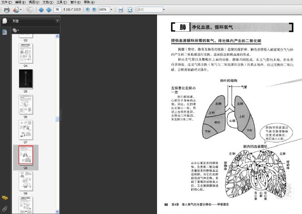 全圖解人體說明書.jpg