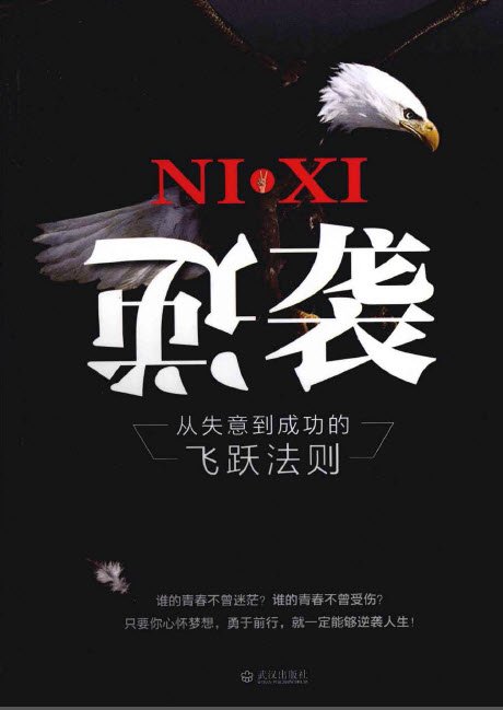 逆襲 從失意到成功的飛躍法則.jpg