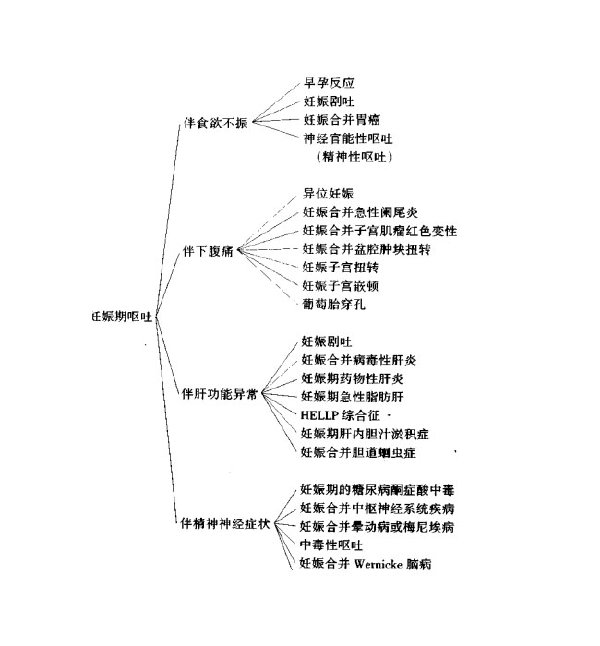 婦產科臨床鑒別診斷).jpg