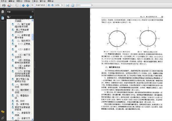 手指再植與再造b.jpg