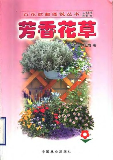 芳香花草.jpg