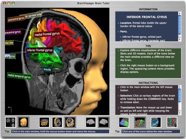 IPB Image